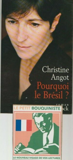 Pourquoi le Brésil ? - Christine Angot / Ed : Stock / Grand Format / 2002